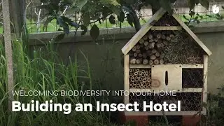Building a Bug Hotel | Biodiversity
