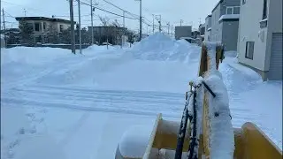大雪はどこ？　お隣さんが留守にしたので