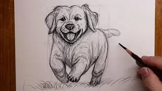 Как нарисовать собаку шаг за шагом | Урок рисования эскиза для начинающих