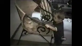 CatSlap