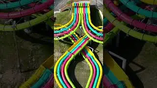 Camelbeach Reel 5 11 23