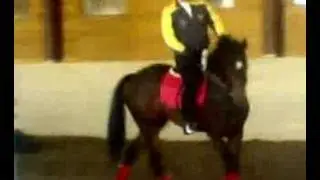 Она-1