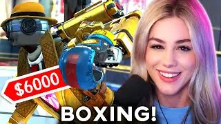 FIRST EVER OFFICIAL APEX BOXING TOURNAMENT! | Apex Legends Highlights