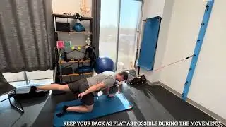 Posterior Oblique Sling - Birddog Variation