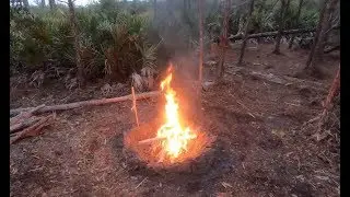 Backpacking Solo In The Ocala National Forest