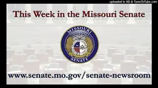 This Week in the Missouri Senate for Feb. 24: Priority Legislation