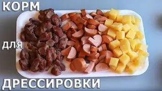 Корм для дрессировки собак