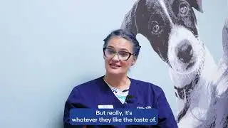 Vet Q&A: How to Keep Your Pet&rsquo;s Teeth Healthy
