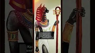 Почему в Египте почитали кошек #amazing#history#скрытые #travel #missuniverse #space#чудовище#horror