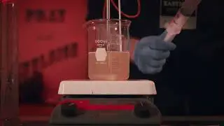 Darkroom Magic: What is a Gelatin Emulsion?