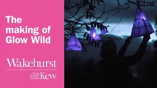 The making of Glow Wild