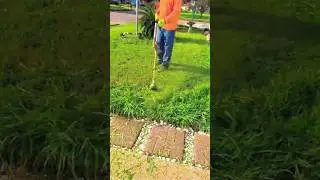 lawn edging process part 12 | how to edge along fences & borders
