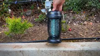 FVOAI Bug Zapper Review