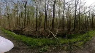 Robbenoordbos  4K  360°