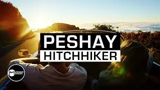Peshay - Hitchhiker