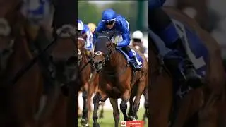 Trawlerman Wins Qipco British Champions Long Distance Cup (G2) #horselifevd  #horseracing #shorts