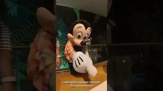 🍽️ EPCOT&rsquo;s Garden Grill: Must Try or Skip?