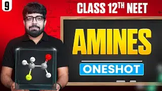 AMINES in ONE SHOT | All Concept & PYQ | Basic to Advanced | Class 12 NEET