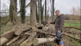 Homesteading in Ireland: Outdoor Veg Garden Pt.2