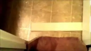 Addictive Creations - Vinyl Flooring and Carpet installation - Reading, Pa