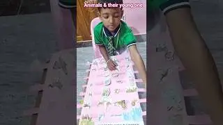 craft , animals and their young one