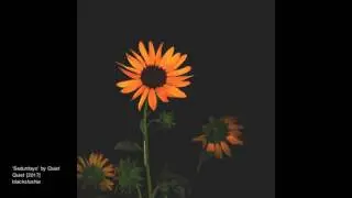 Quiet - Sadurdays