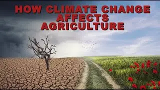 How Climate Change affects Agriculture #agriculture #climatechange