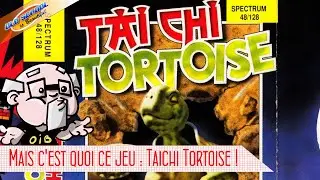 La tortue ninja de chez Wish : TaiChi Tortoise !