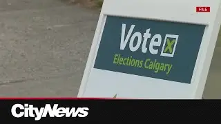 'A Better Calgary' party not running mayoral candidate, will vote to endorse Jeff Davison