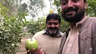 ماشااللہ اس خوب صو رت جگہ کو دیکھ 🥰