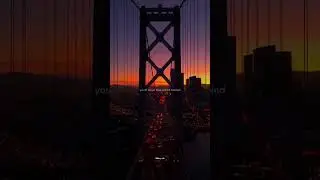 The Nights - Avicii | lyrics | aesthetic | english songs | Slowed | whatsapp status | speed up 🎶❤️🍃