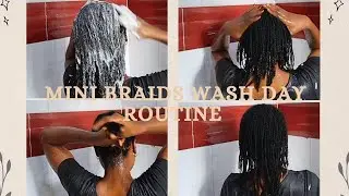 Mini Braids Wash Day Routine | Easy & Refreshing Hair Care