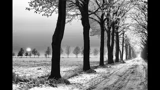 Paul Mauriat Grand Symphonix Orchestra - Forbidden Games (Jeux Interdits)