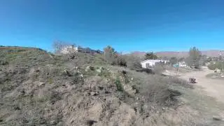 Lumeneir danaus flight problems