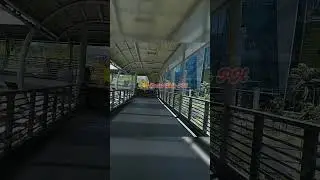 J Vargas footbridge Pasig City #philippines #discoverph #localwalk
