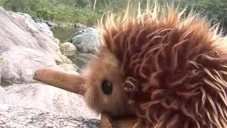I LOVE ANTS from SECRET GULLY sung by SPIKE the ECHIDNA