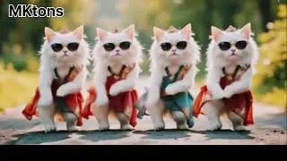 Jinka eey jinka Cat Dance #catdance Dudi Dudi dam  #catfunny funny videos with cats anddogs