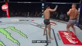 Ufc 217 live