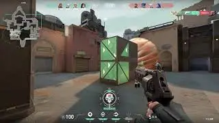 Spicy Chicken Clips Compilation