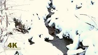 1 Hour Winter Storm Sounds for Sleeping- Howling wind and relaxing river sounds in a white forest!
