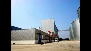 Introduction of Soybean White Flake Plant
