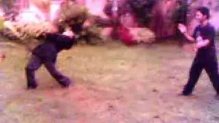 Drunken Master Vs Five style fist