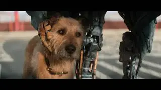 Finch 2021 Ending