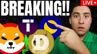 SHIBA INU PUMPING HARD! TECTONIC, TERRA LUNA CLASSIC, DOGECOIN LIVE