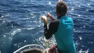 Hayalet ağlar ve denizde bırakılmış misinalar deniz canlıları i&ccedil;in b&uuml;y&uuml;k bir tehlike #GhostNet