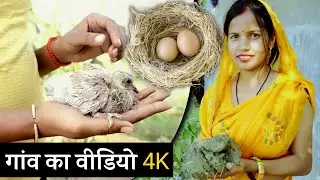 गांव का वीडियो 4k घर से बाहर बच्चों के साथ दिए के लिए मिट्टी लाई | village life India | village life