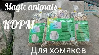 Official video magic animals 