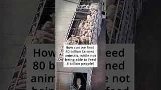 The Food System Crisis No One Talks About 👀