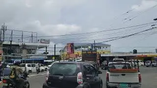 Liquanea Jamaica