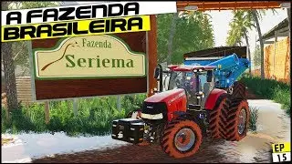 MAPA BRASILEIRO TOP! FAZENDA SIRIEMA | FARMING SIMULATOR 19 #15